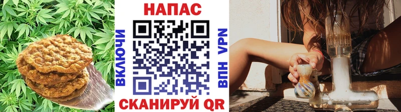 Купить  Отрадная  Печенье с ТГК конопля 