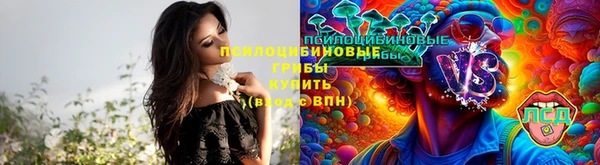 эйфоретик Медвежьегорск