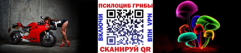 Купить закладки  Отрадная  Галлюциногенные грибы ЛСД 