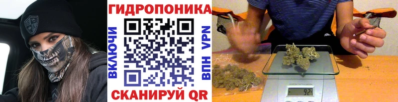 Канабис THC 21%  Купить  Отрадная
